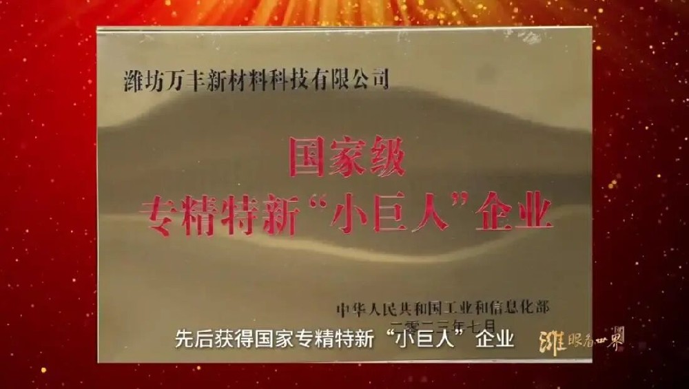 A Double Celebration! On July 3, two Wanfeng Group subsidiaries simultaneously secured 